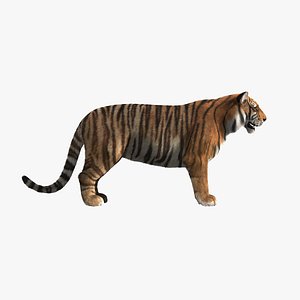 Bengal Tiger ANIMATED Yeti 3D model - TurboSquid 2124743