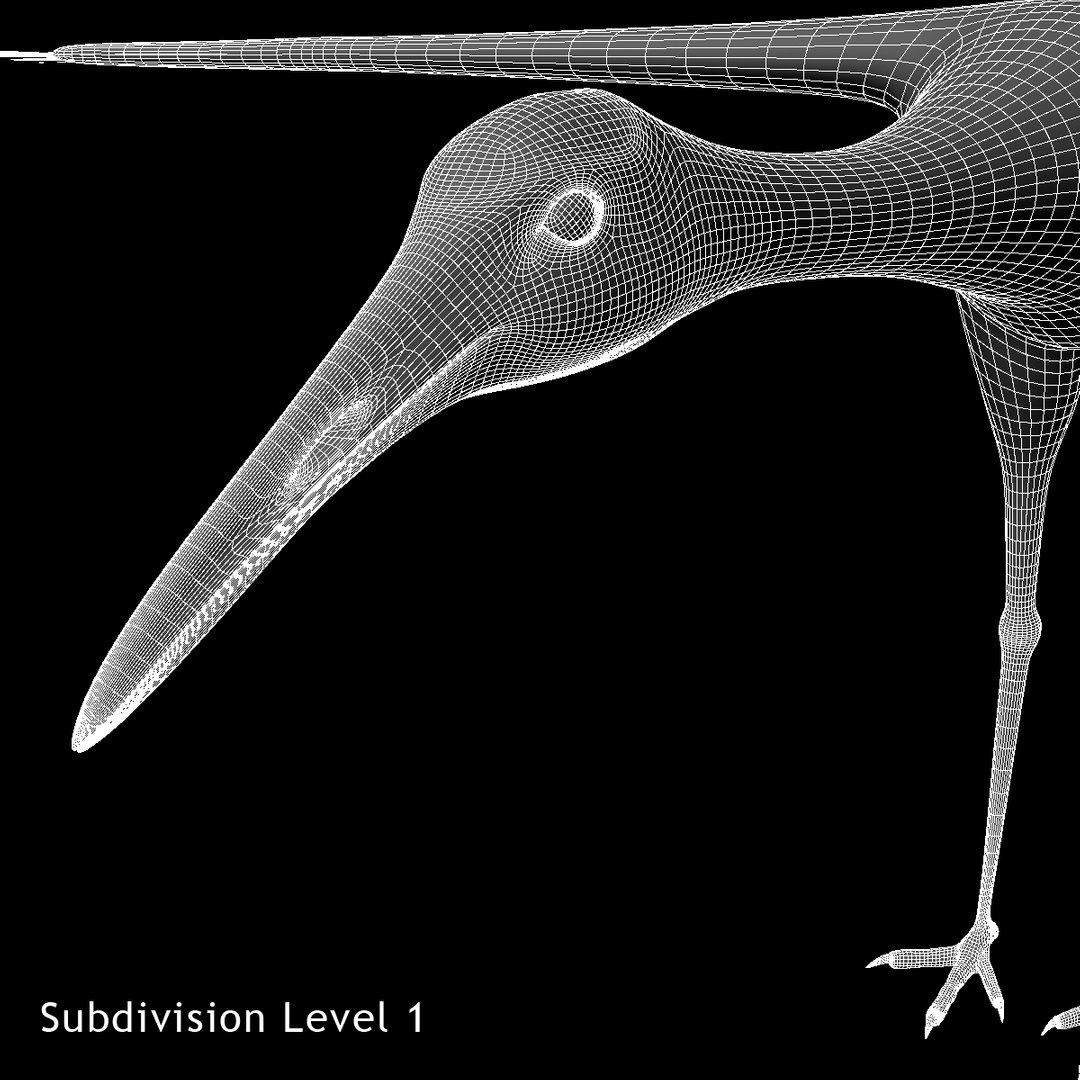 maya grus japonensis red-crowned crane https://p.turbosquid.com/ts-thumb/Cv/IN7DdE/D6FqNe1y/ww06/jpg/1417499992/1920x1080/fit_q87/860b0d127c4243b35a494f4414e884f213ab7045/ww06.jpg