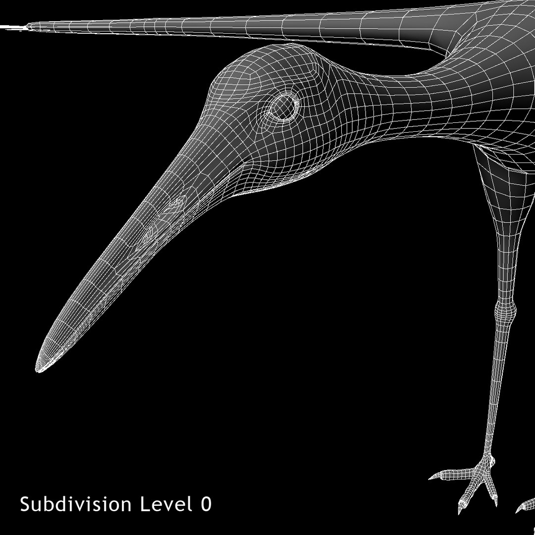 maya grus japonensis red-crowned crane https://p.turbosquid.com/ts-thumb/Cv/IN7DdE/HyjSMCJZ/ww05/jpg/1417499992/1920x1080/fit_q87/ae10225014c30d14c1694aac95c0e3d7fd05ddcc/ww05.jpg
