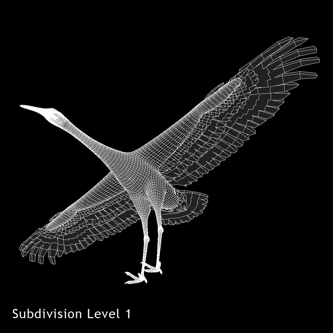 maya grus japonensis red-crowned crane https://p.turbosquid.com/ts-thumb/Cv/IN7DdE/P3FPiFg2/ww04/jpg/1417499992/1920x1080/fit_q87/e344c0f2fc9d908a4c8acd1cecbc9665b1a22771/ww04.jpg