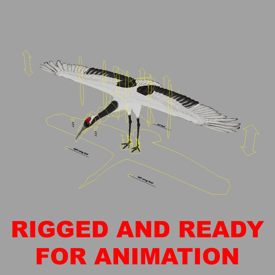 maya grus japonensis red-crowned crane https://p.turbosquid.com/ts-thumb/Cv/IN7DdE/Wjofn7lR/rigged/jpg/1417508434/1920x1080/fit_q87/757c839ca102804594610d62d255894adea651cc/rigged.jpg