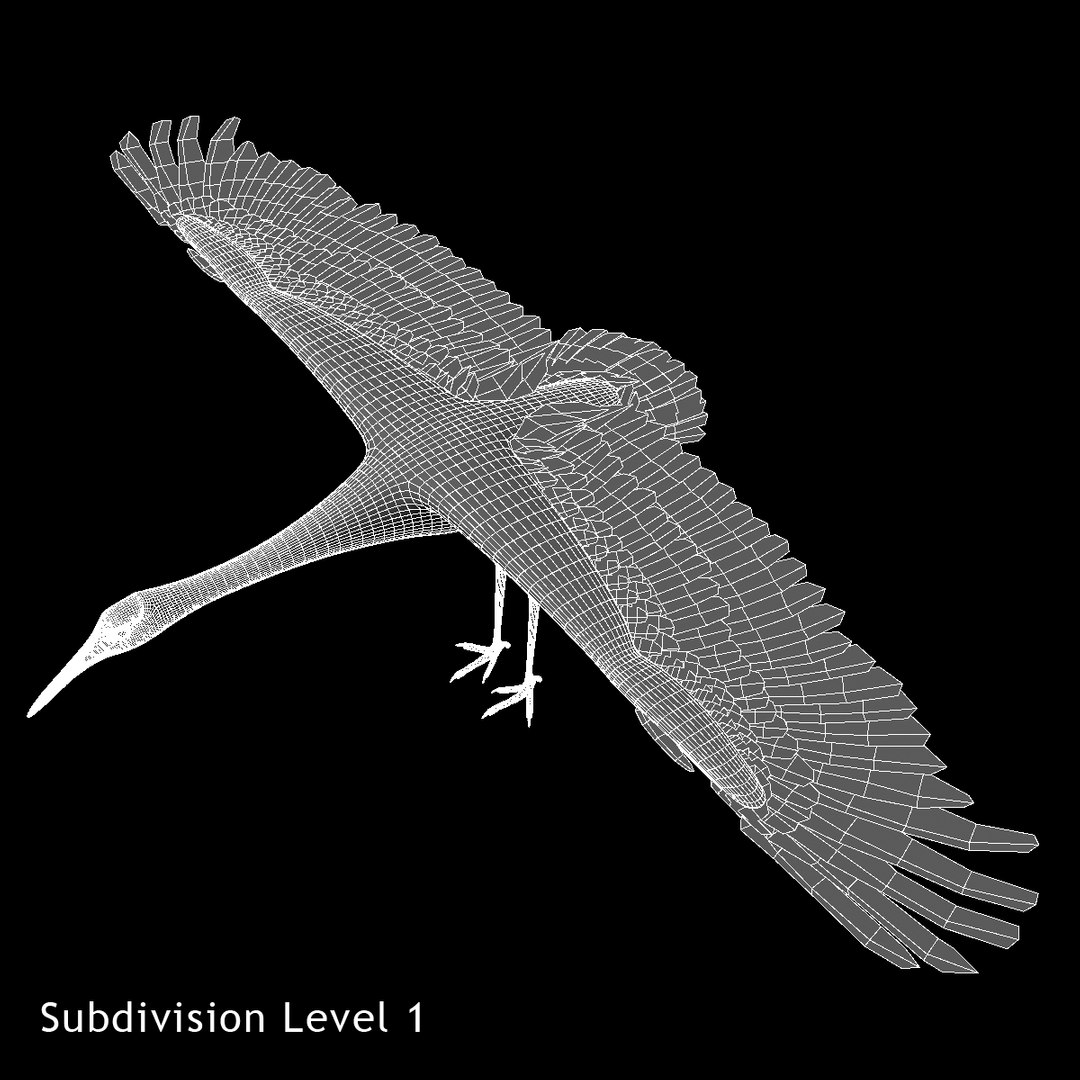 maya grus japonensis red-crowned crane https://p.turbosquid.com/ts-thumb/Cv/IN7DdE/yNDNLMqk/ww02/jpg/1417499992/1920x1080/fit_q87/54228ed4be4be2b428d6b0597085e22032d6155d/ww02.jpg