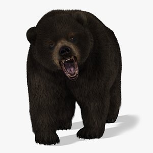 Bear (2) (Black) (Animated) (Fur)