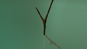 branch 3d ma