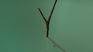 branch