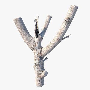3D Twig Scanned 26 Model - TurboSquid 2088514