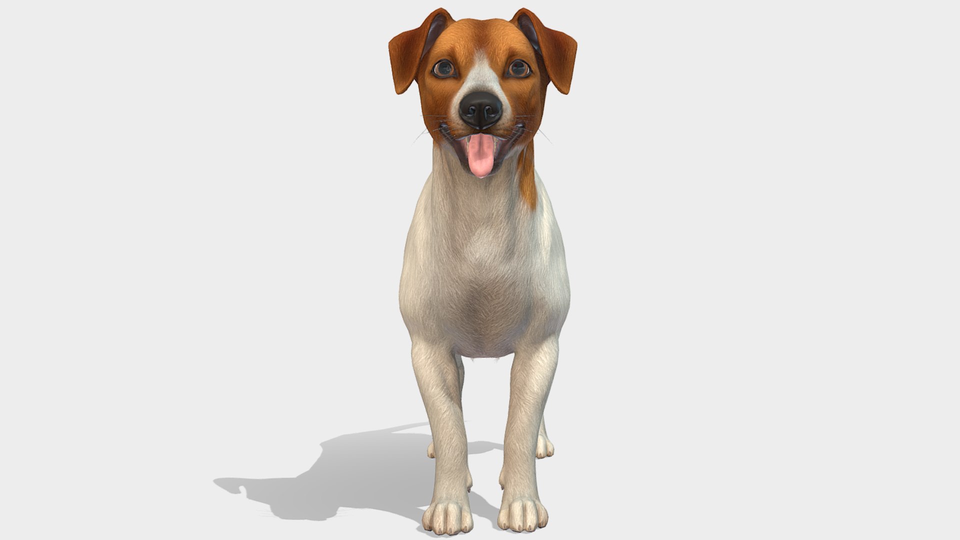 Dog  - Jack Russell Terrier 3D model https://p.turbosquid.com/ts-thumb/Cv/lVL8rN/aY/4/png/1706546724/1920x1080/fit_q87/1781496d988e107f63786a2622debada9faede1d/4.jpg
