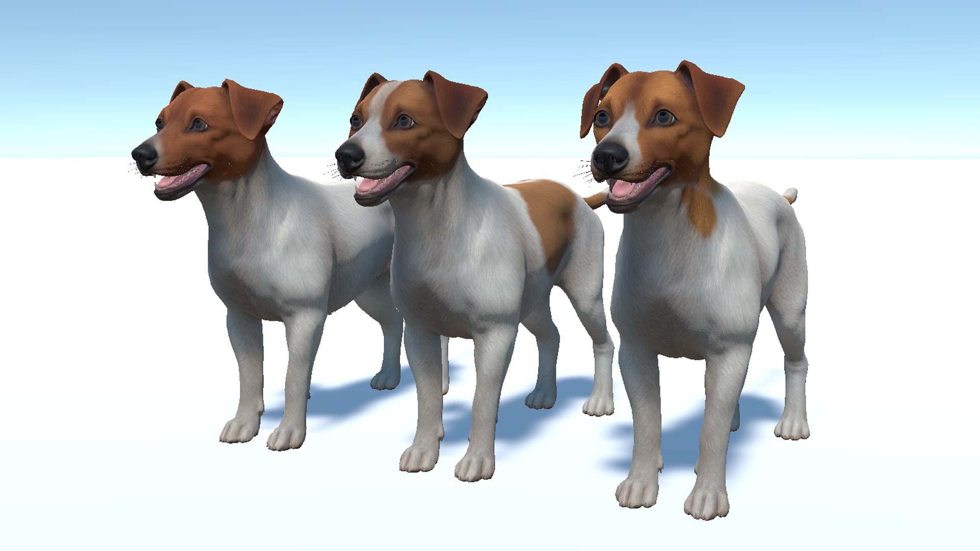 Dog  - Jack Russell Terrier 3D model https://p.turbosquid.com/ts-thumb/Cv/lVL8rN/al/7/png/1706546729/1920x1080/fit_q87/b164e7998e9449e2d03fae49a96cdcee987aae23/7.jpg