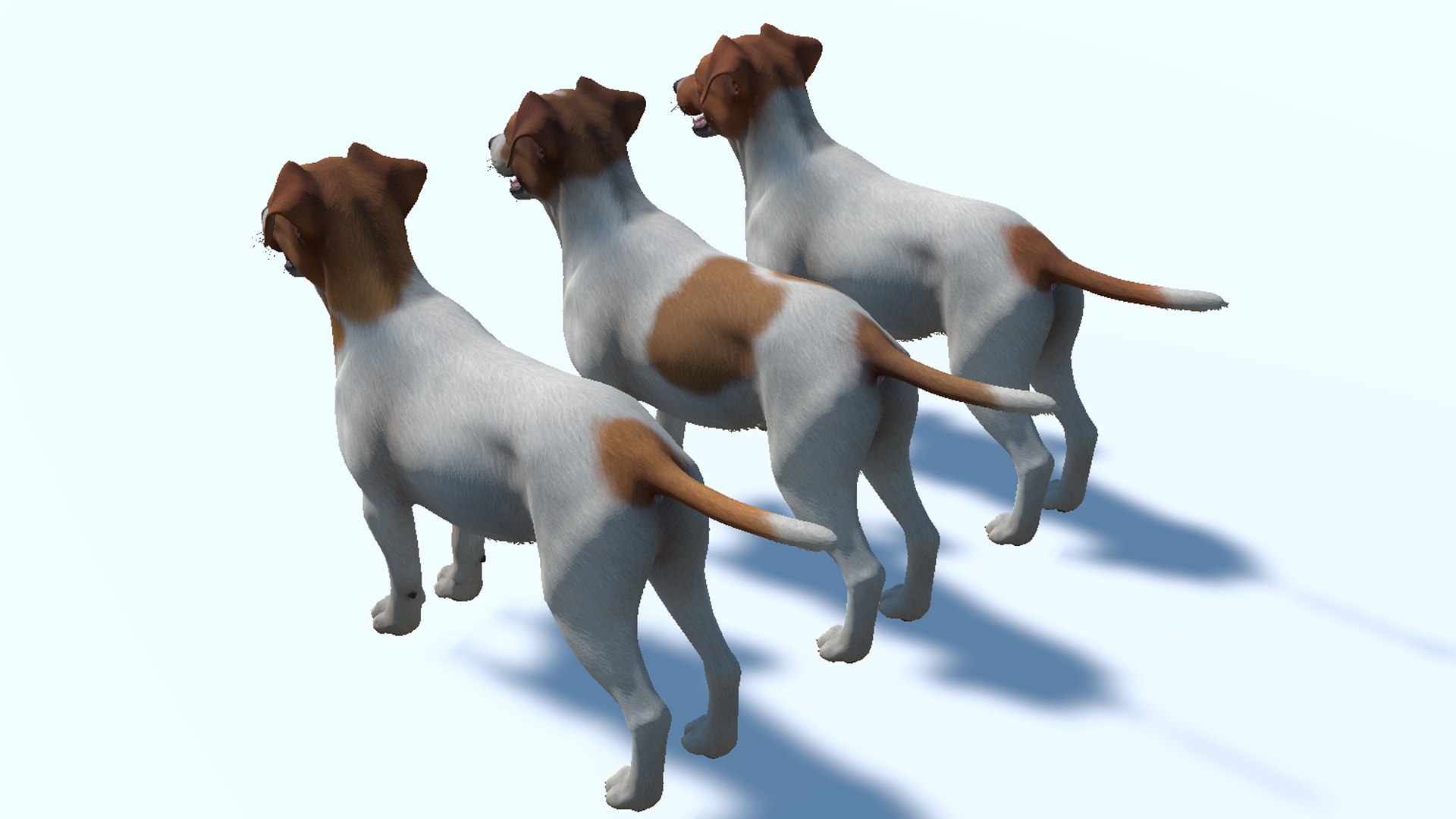 Dog  - Jack Russell Terrier 3D model https://p.turbosquid.com/ts-thumb/Cv/lVL8rN/bD/12/png/1706546736/1920x1080/fit_q87/b1116428dc55460aa857e9a47baf0029189bec10/12.jpg