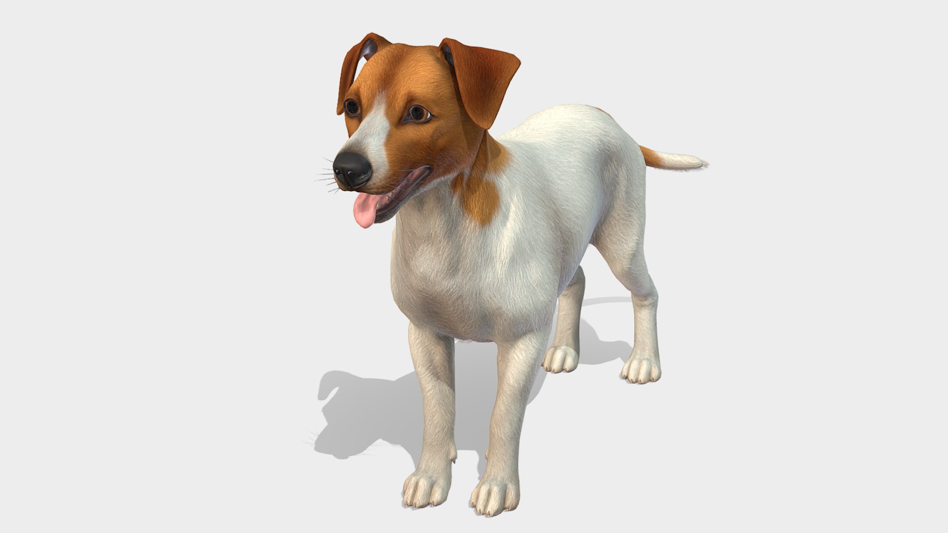 Dog  - Jack Russell Terrier 3D model https://p.turbosquid.com/ts-thumb/Cv/lVL8rN/rX/3/png/1706546725/1920x1080/fit_q87/7c0ed6925f207c83117807cfacdb7cd9f0b507f6/3.jpg