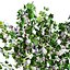 현실적인 면화 식물
