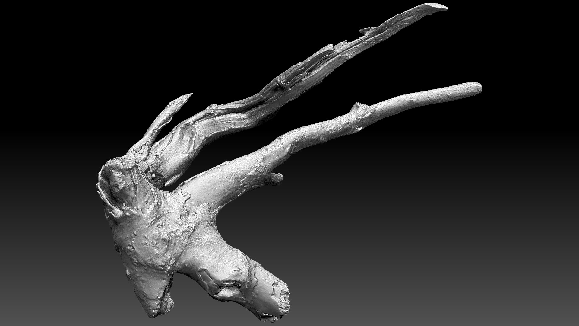 Tree Root 3D Scan In Highpoly 3D - TurboSquid 2224465