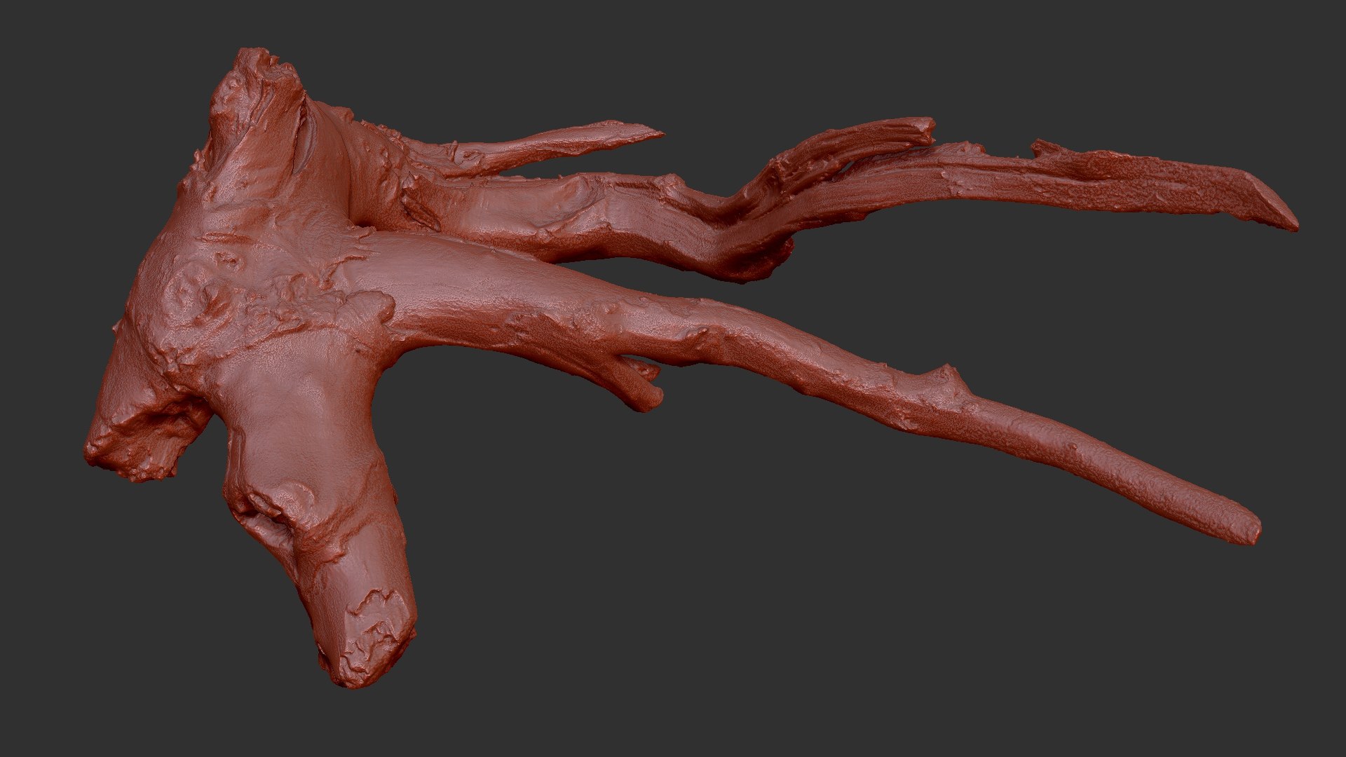 Tree Root 3D Scan In Highpoly 3D - TurboSquid 2224465