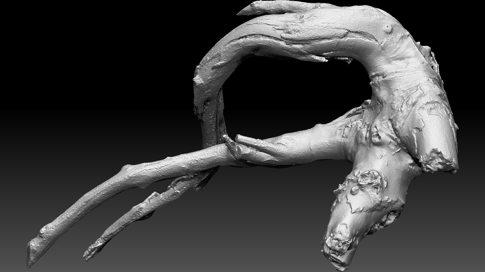 Tree Root 3D Scan In Highpoly 3D - TurboSquid 2224465