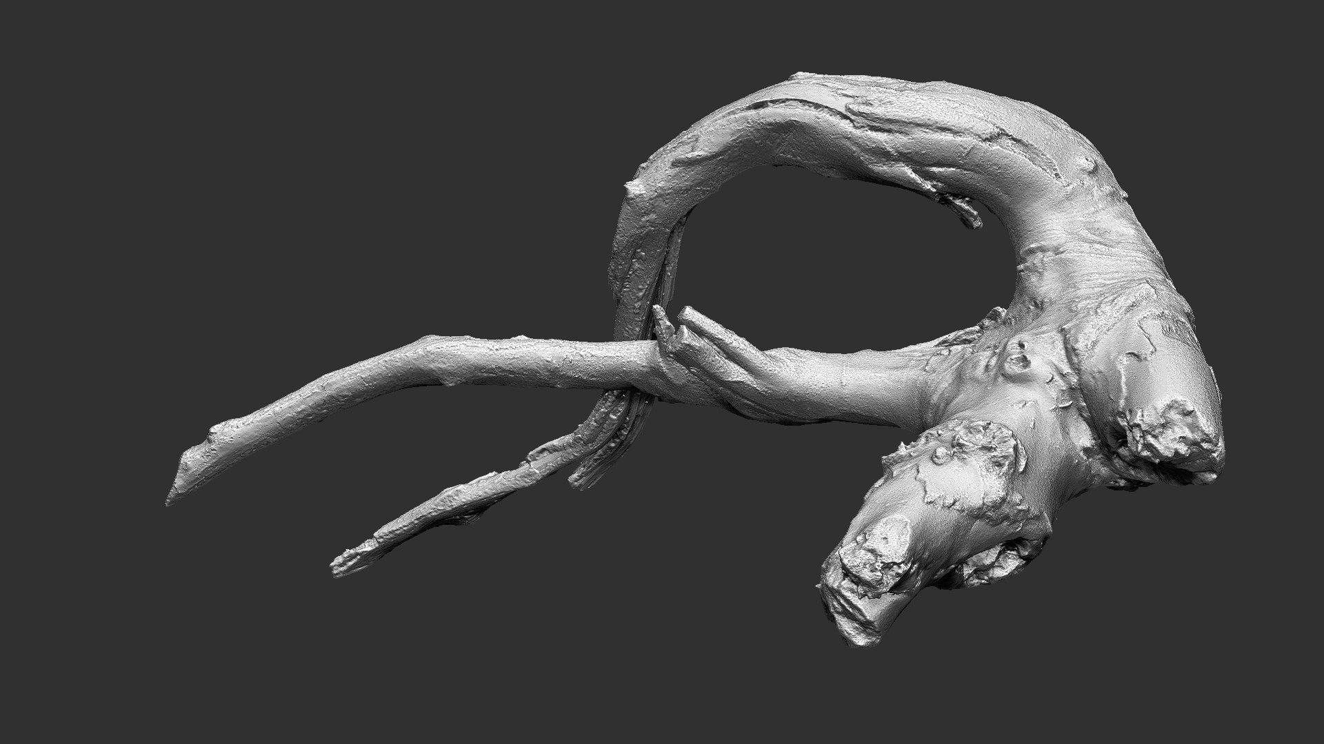 Tree Root 3D Scan In Highpoly 3D - TurboSquid 2224465