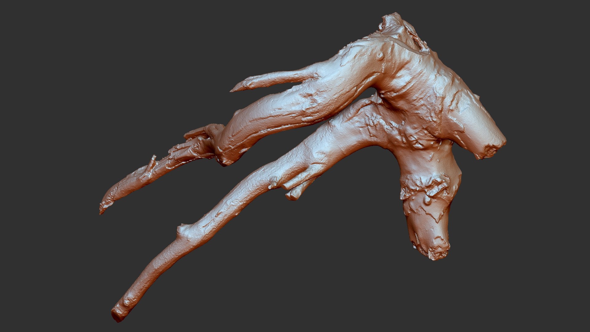 Tree Root 3D Scan In Highpoly 3D - TurboSquid 2224465