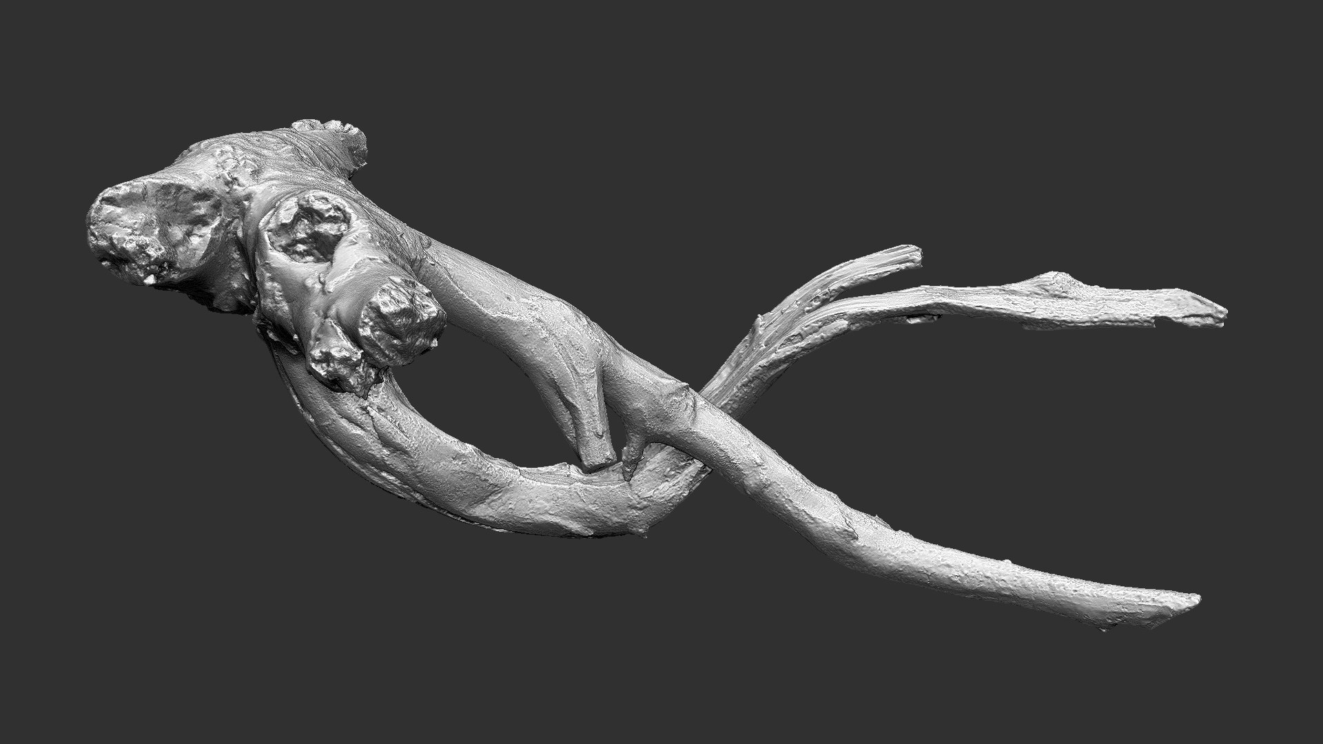Tree Root 3D Scan In Highpoly 3D - TurboSquid 2224465