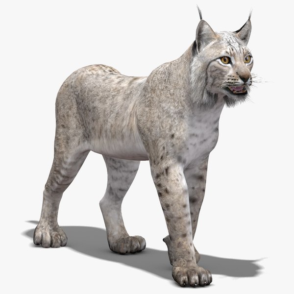 3D Bobcat Fur - TurboSquid 2025440