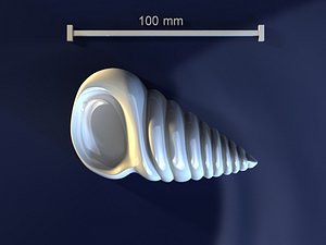 Shell