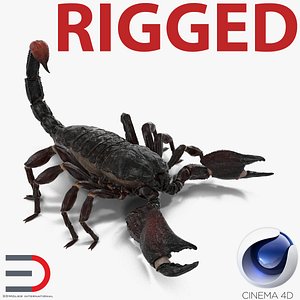 black scorpion rigged c4d