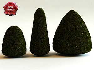 3d thuja occidentalis 'elegantissima'