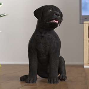 3D Labrador Retriever Puppy Black Sitting Pose