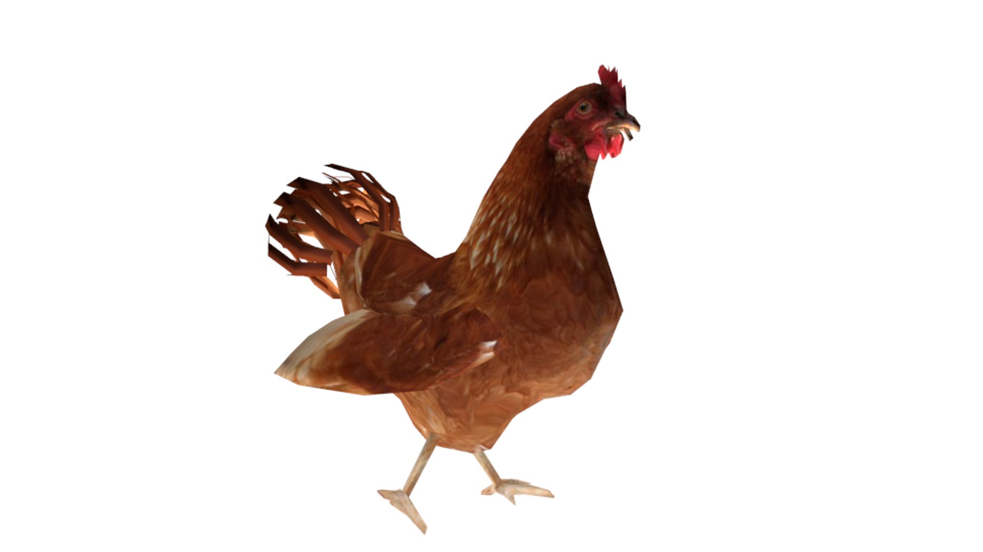 Low-poly Chicken Hen Rooster 3D Model - TurboSquid 1206984