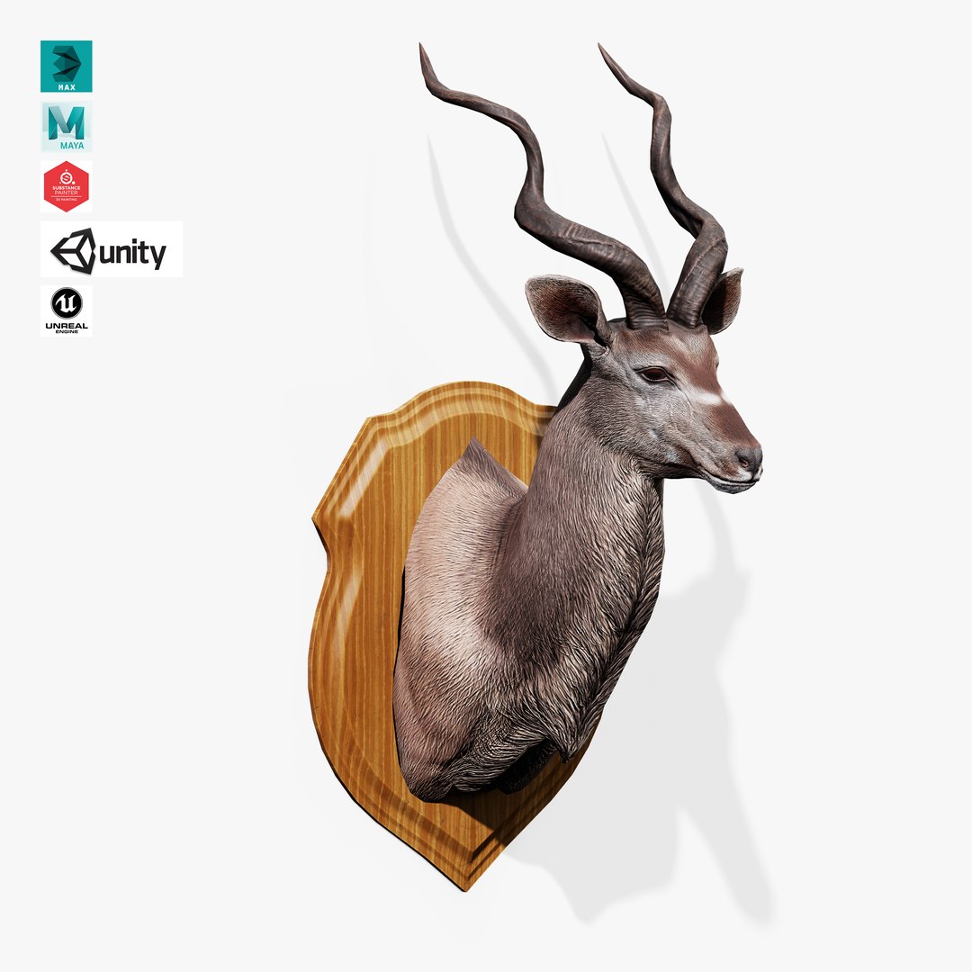 3D Trophy Kudu https://p.turbosquid.com/ts-thumb/Cw/hj9PEb/4F/trophy_kudu_01/jpg/1744205803/1920x1080/fit_q87/c40692a6a9c7f33c8644e48f29d5d03284ed8a81/trophy_kudu_01.jpg
