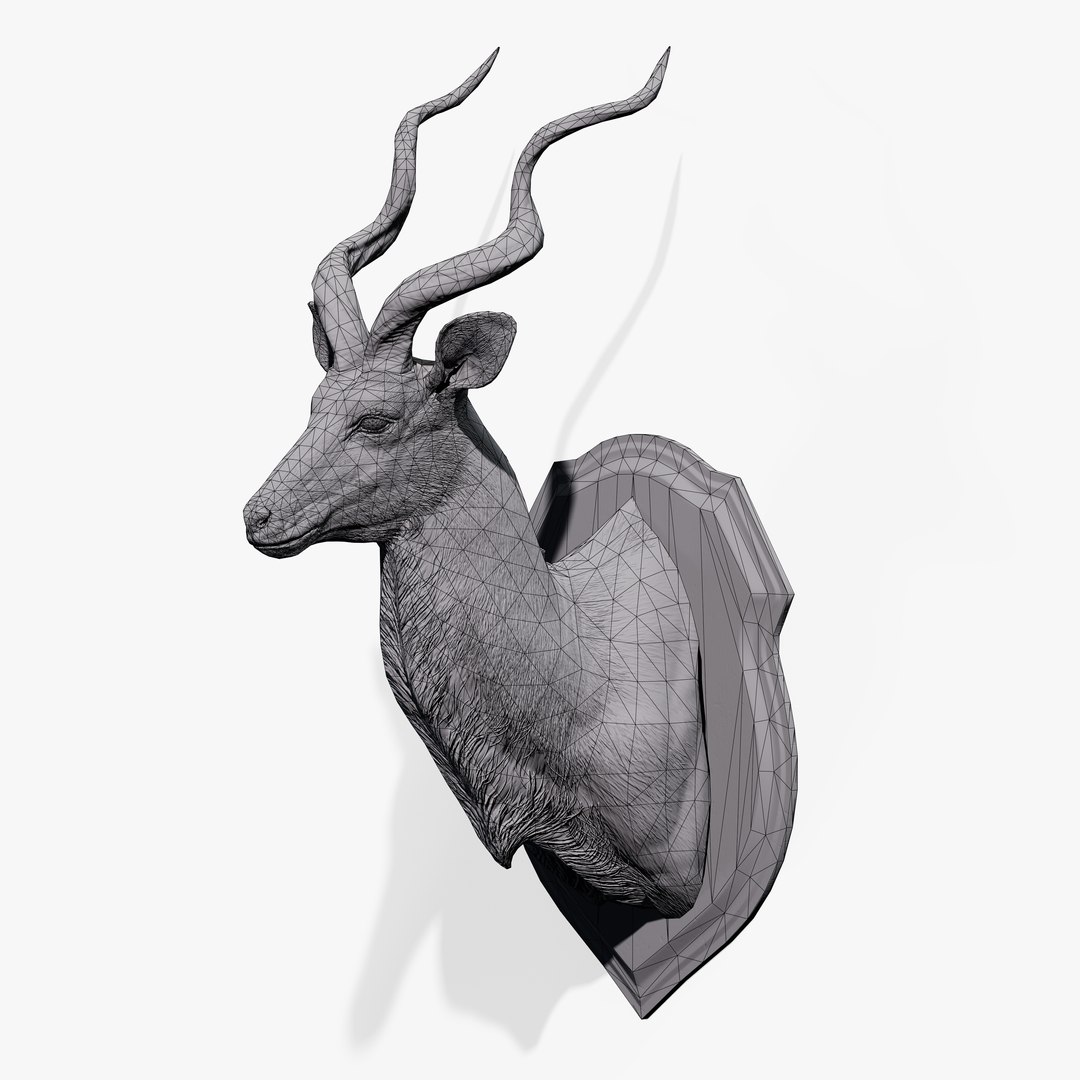 3D Trophy Kudu https://p.turbosquid.com/ts-thumb/Cw/hj9PEb/4m/trophy_kudu_12/jpg/1744205827/1920x1080/fit_q87/3601555c716329d4fffb5433454ff1e5956d5c85/trophy_kudu_12.jpg