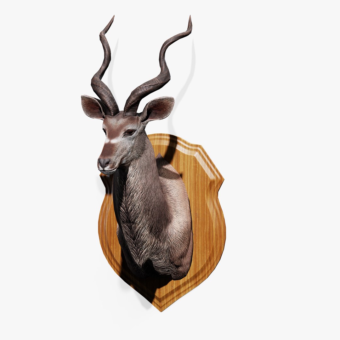 3D Trophy Kudu https://p.turbosquid.com/ts-thumb/Cw/hj9PEb/6U/trophy_kudu_03/jpg/1744205820/1920x1080/fit_q87/a3c65d4275dd5b8746210ec20f811f05ed660be2/trophy_kudu_03.jpg