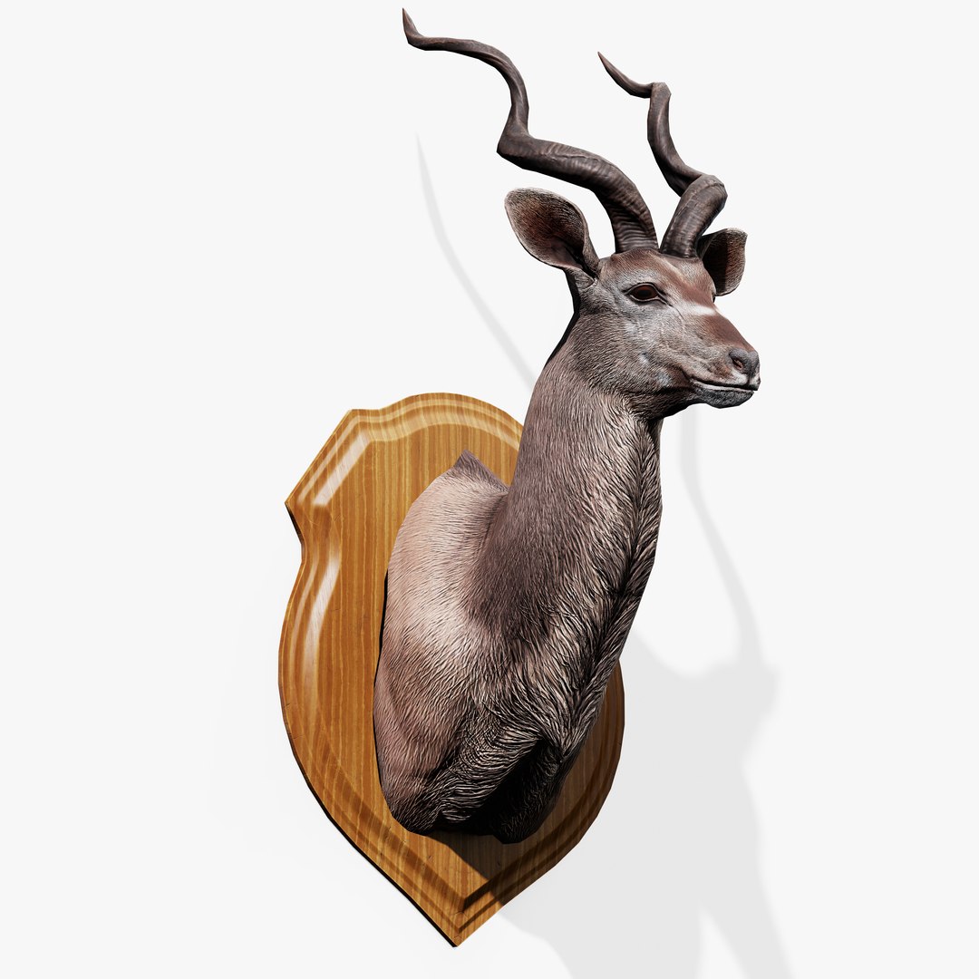 3D Trophy Kudu https://p.turbosquid.com/ts-thumb/Cw/hj9PEb/G0/trophy_kudu_04/jpg/1744205807/1920x1080/fit_q87/3516052ddb8a3966f15e5cc627e3436c6dff2d50/trophy_kudu_04.jpg