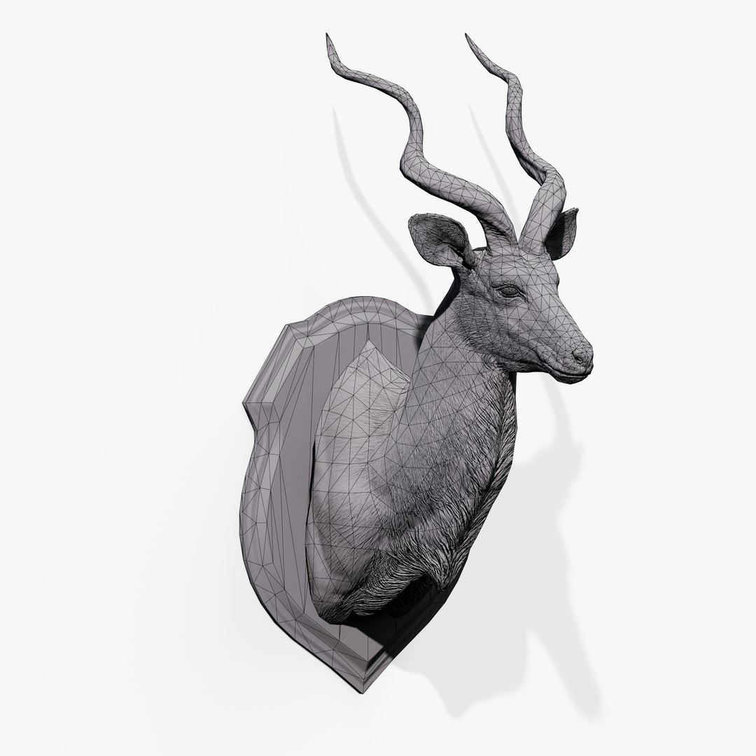 3D Trophy Kudu https://p.turbosquid.com/ts-thumb/Cw/hj9PEb/cv/trophy_kudu_11/jpg/1744205826/1920x1080/fit_q87/eb3cc5b36a53c7c6e5e316dfce13be55d379f596/trophy_kudu_11.jpg
