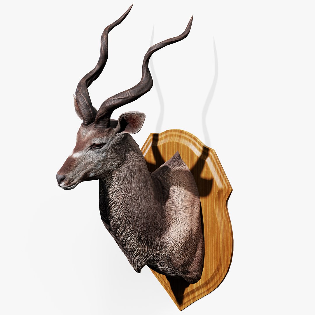 3D Trophy Kudu https://p.turbosquid.com/ts-thumb/Cw/hj9PEb/hQ/trophy_kudu_06/jpg/1744205813/1920x1080/fit_q87/fb419bc51437485e6a5ca097bf5be5fe574cff6b/trophy_kudu_06.jpg