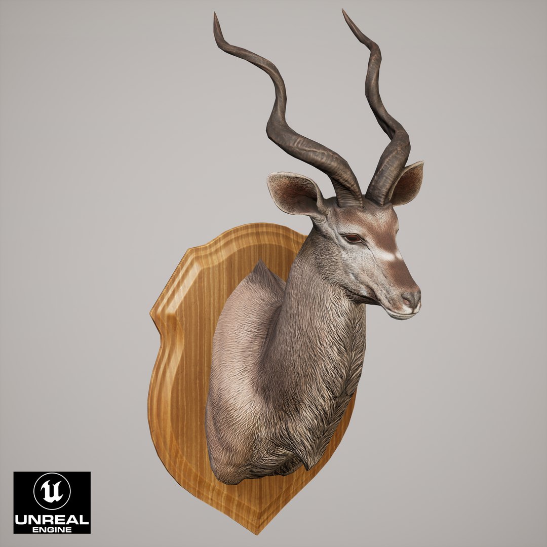 3D Trophy Kudu https://p.turbosquid.com/ts-thumb/Cw/hj9PEb/xd/trophy_kudu_13/jpg/1744205833/1920x1080/fit_q87/f2cb7afe5a03a0c0ffaffe9070b3a460081853f3/trophy_kudu_13.jpg
