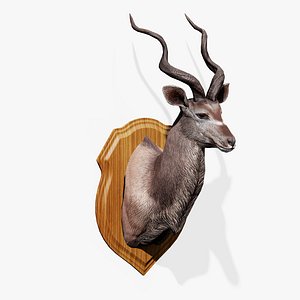 Trophy Kudu
