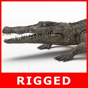 crocodile rigging model