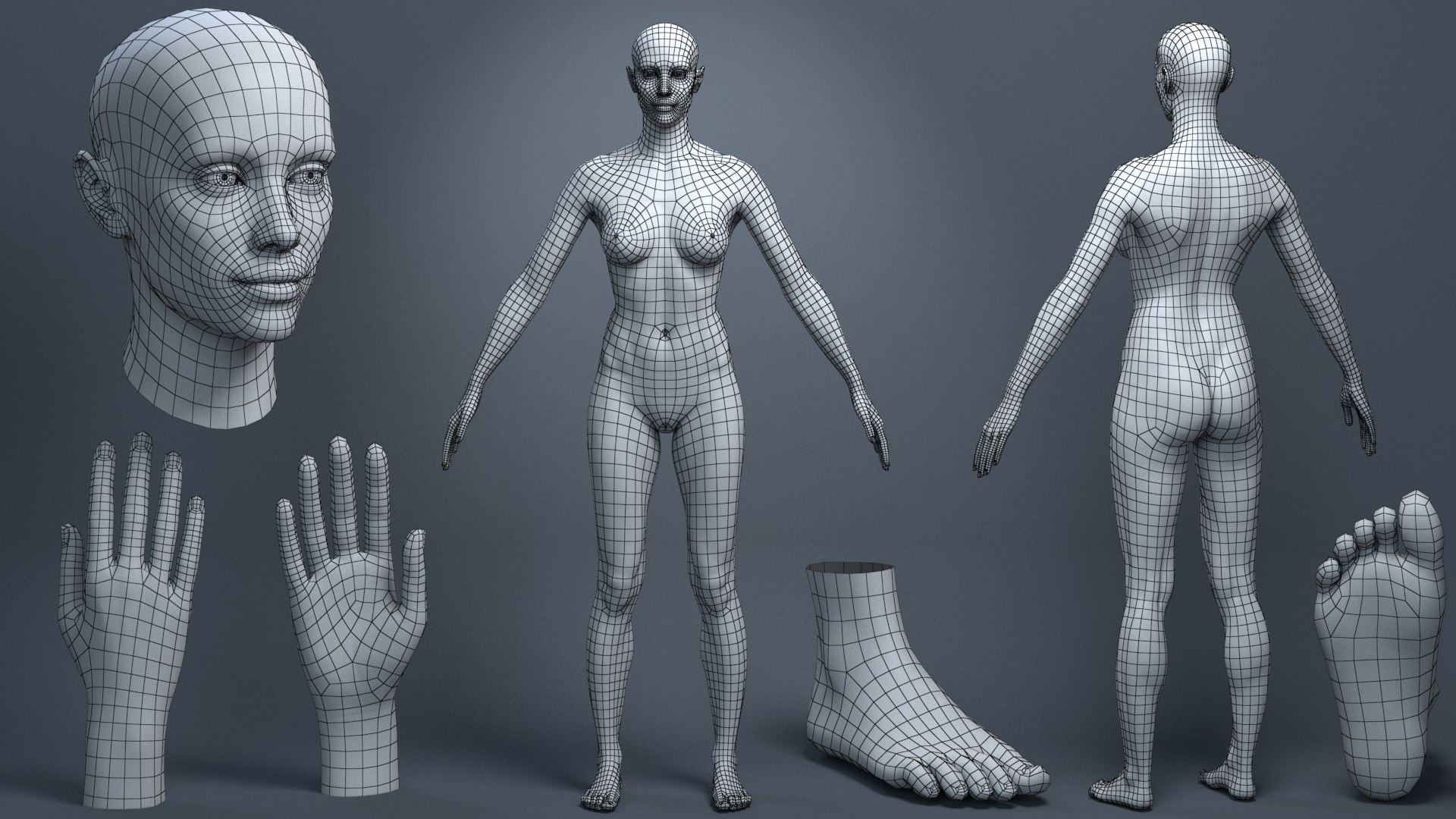 Idealistic Woman 3D model https://p.turbosquid.com/ts-thumb/Cw/pFuj2q/iV/iw_wire/png/1773213955/1920x1080/fit_q87/b4209aaf39449532e815c10dd63633ba155843f7/iw_wire.jpg