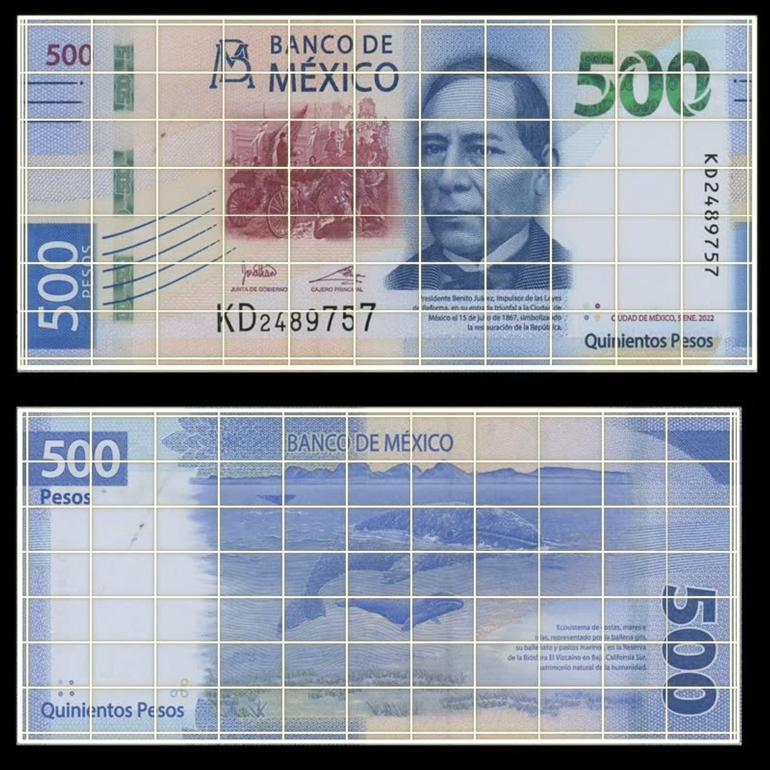 Mexico 500 Pesos Falling Notes 3D model https://p.turbosquid.com/ts-thumb/Cw/rbzmhj/Jj/money_notes_grp_uv_snapshot/jpg/1766767040/1920x1080/fit_q87/a86232a294c9c7d941f4d2a45f4fbc23d6a692c1/money_notes_grp_uv_snapshot.jpg