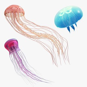 Jellyfishes Rigged Collection