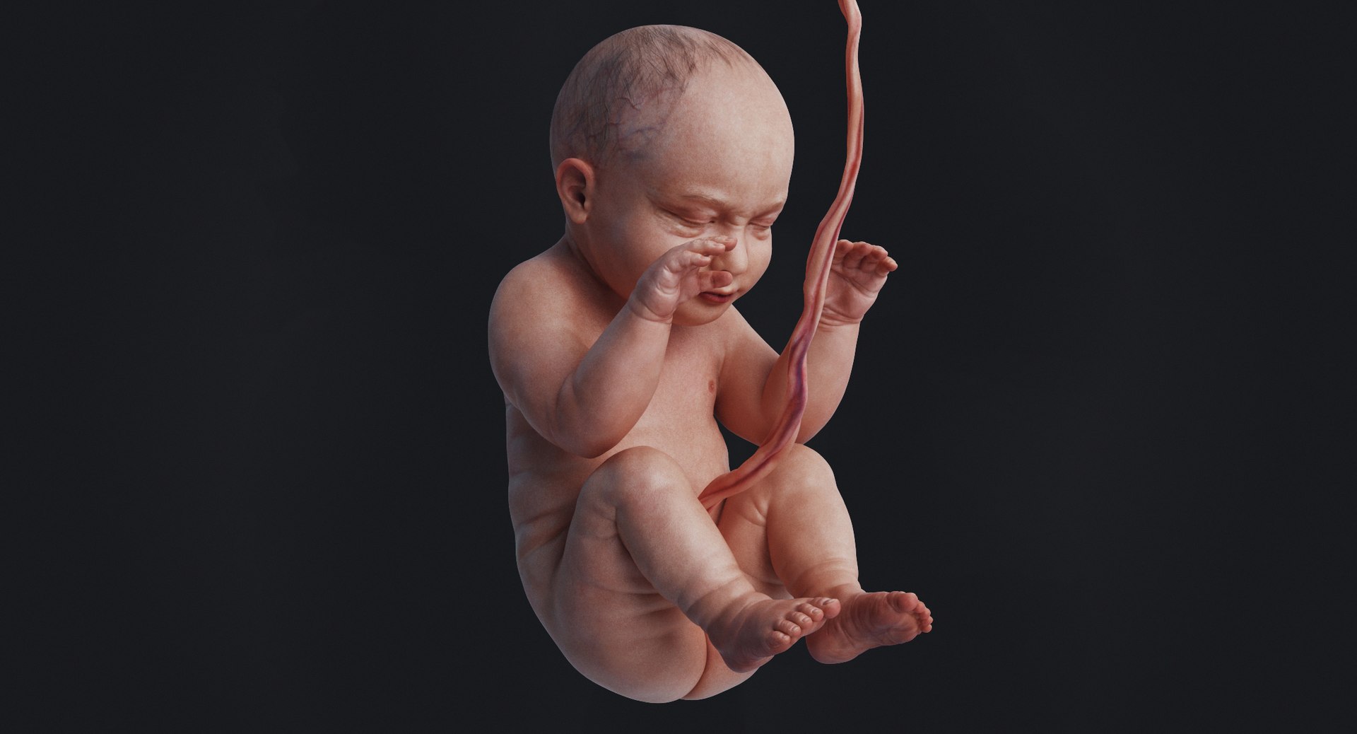 3D fetus human https://p.turbosquid.com/ts-thumb/Cw/xmXk8J/XXvU2VWm/3_rakursu_0015/jpg/1594826903/1920x1080/fit_q87/e6da6234e6c038011738672b9befa87fd9ae3c48/3_rakursu_0015.jpg