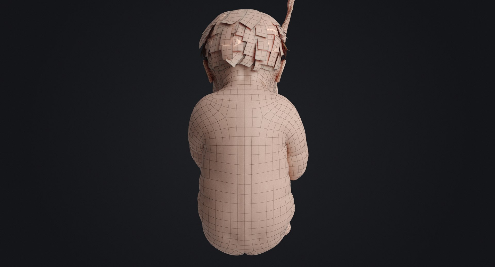 3D fetus human https://p.turbosquid.com/ts-thumb/Cw/xmXk8J/qmZhbJeK/humanembryo_gray_0021/jpg/1594827004/1920x1080/fit_q87/8914619051d7f08d70c3960247799222f7a41eb1/humanembryo_gray_0021.jpg