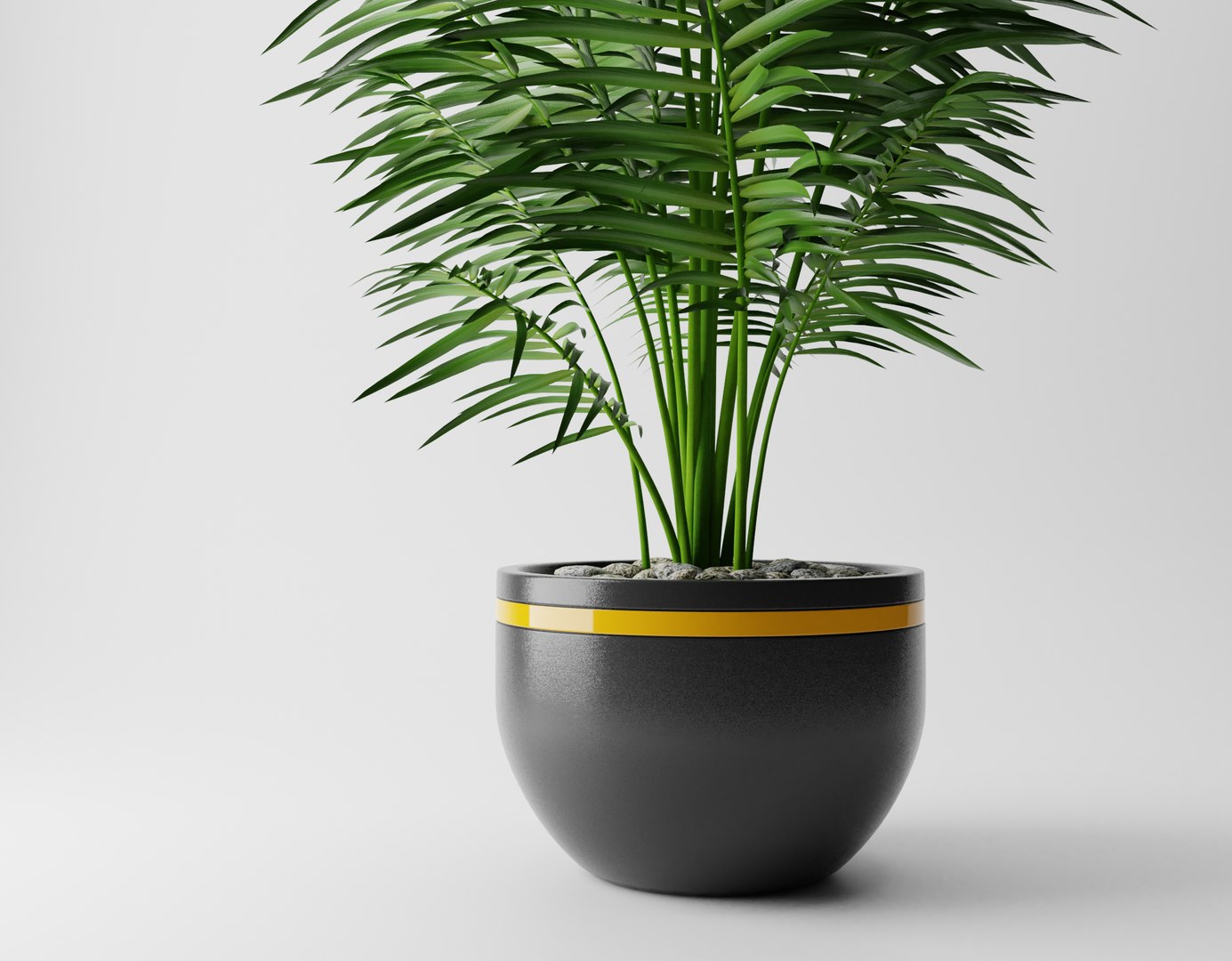 plant indoor nature 3D https://p.turbosquid.com/ts-thumb/Cw/z0gIAY/9OqXF10l/3/png/1598694656/1920x1080/fit_q87/6ce18aa39c1b5167d93f43b7f9d0f34751eaf24b/3.jpg