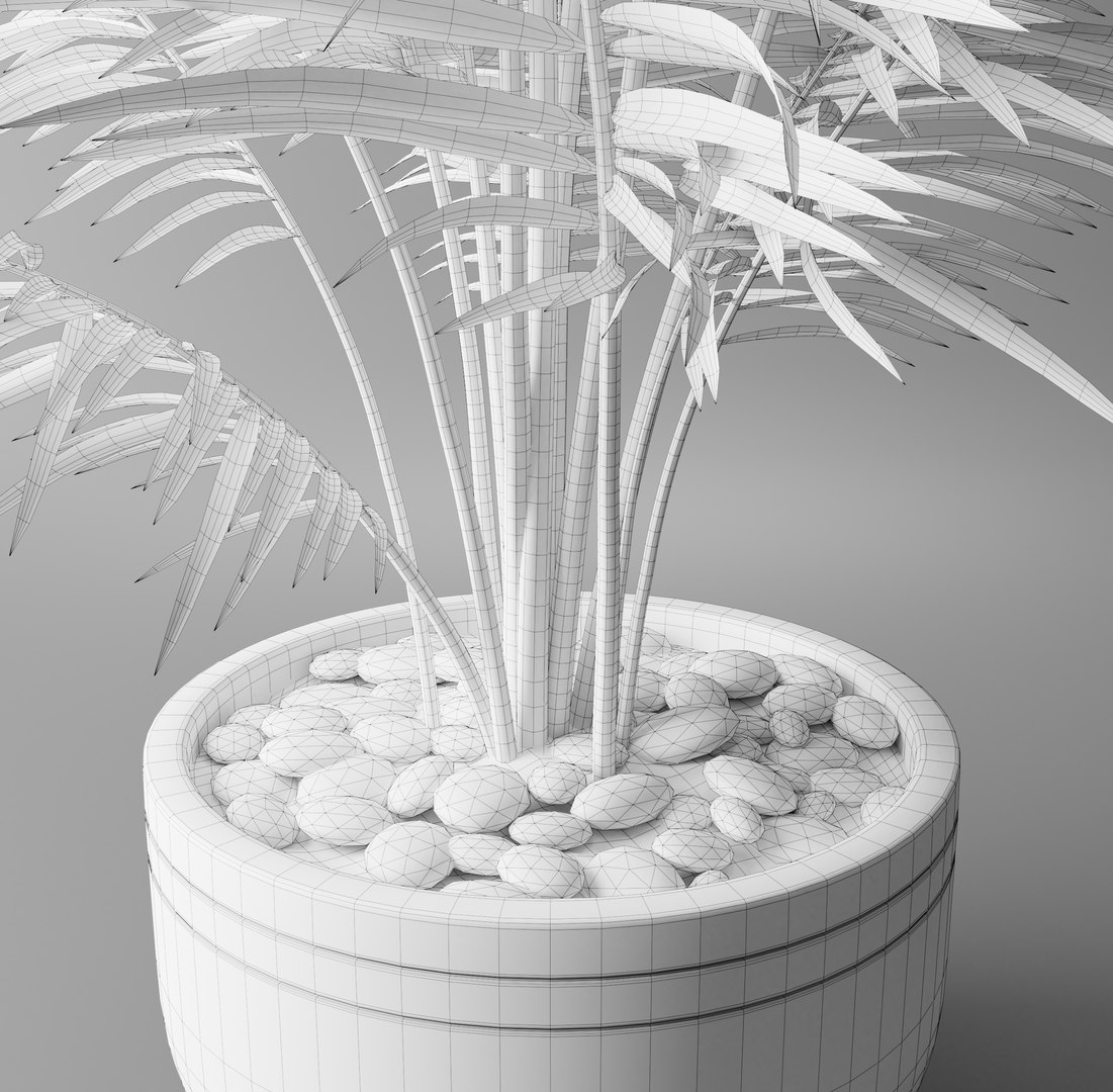 plant indoor nature 3D https://p.turbosquid.com/ts-thumb/Cw/z0gIAY/RmOcbozP/5/png/1598694739/1920x1080/fit_q87/093355fbe8e4ba22b72050f3a804d42fc1f31a0c/5.jpg
