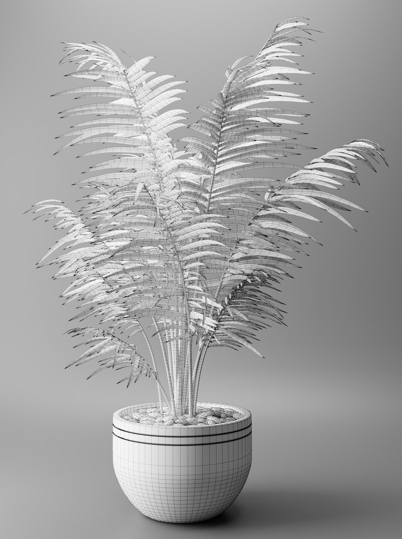 plant indoor nature 3D https://p.turbosquid.com/ts-thumb/Cw/z0gIAY/T1qIa9kT/4/png/1598694699/1920x1080/fit_q87/fce919cf7b94d6a331b76de6f3a215c4e8e44c09/4.jpg
