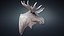 HQ Moose Bull Head Sculpture STL