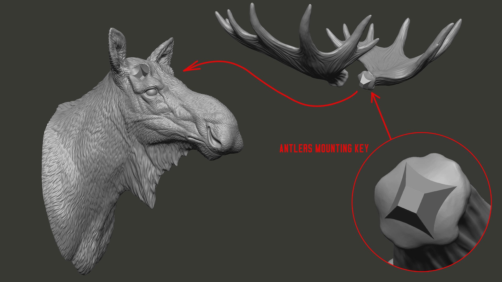 HQ Moose Bull Head Sculpture STL 3D model https://p.turbosquid.com/ts-thumb/Cw/zQP8yj/bW/mooseheadsculpture3dstlzbr01/jpg/1669130734/1920x1080/fit_q87/32872e1bd8f20142eed14f4918f6391a667448aa/mooseheadsculpture3dstlzbr01.jpg