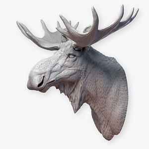 HQ Moose Bull Head Sculpture STL