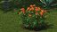3D Flowering Plants Collection 12