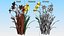 3D Flowering Plants Collection 12
