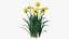 3D Flowering Plants Collection 12